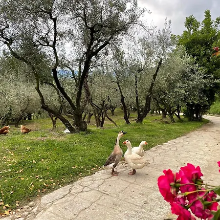 בית חווה Torre Ercolana *